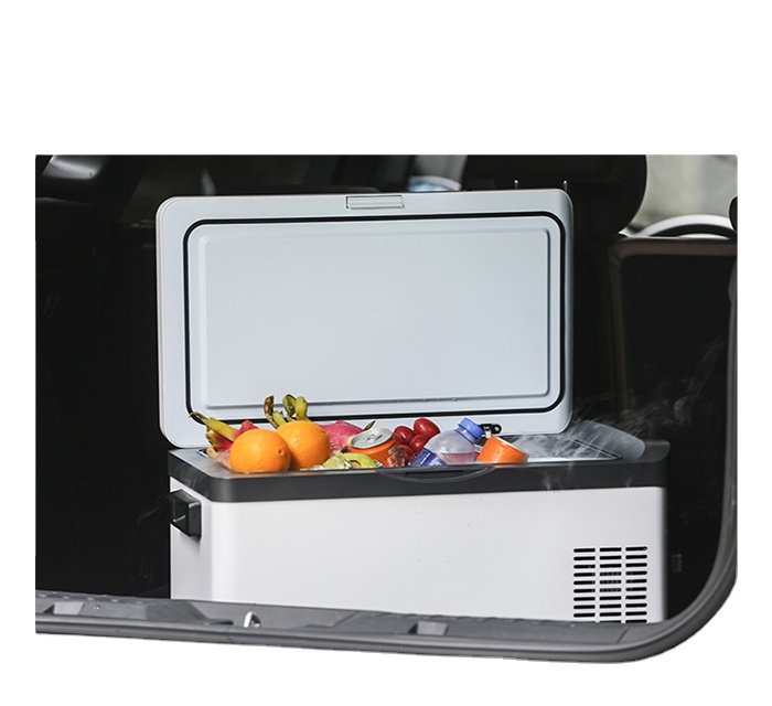 30리터 12V 240V 휴대용 캠핑 전기 쿨러 박스  - Outdoor In Camping 리뷰 및 가격